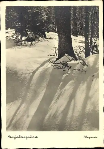 Ak Glückwunsch Neujahr, Winterlandschaft, Waldpartie