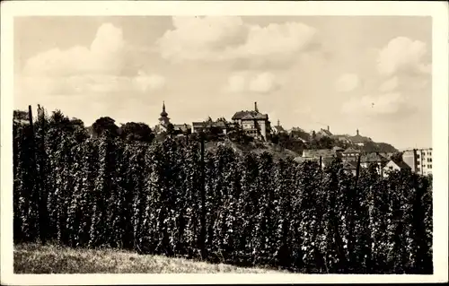 Ak Žatec Saaz Region Aussig, Totalansicht