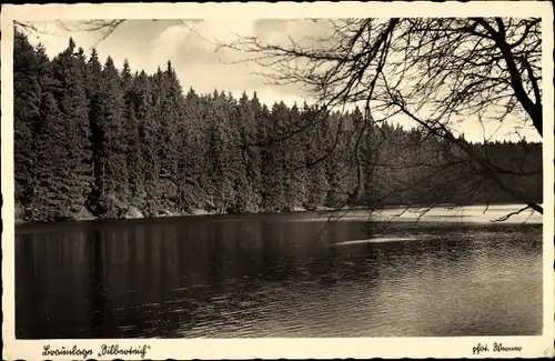 Ak Braunlage im Oberharz, Silberteich