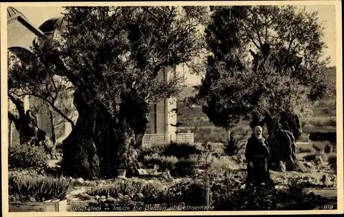 Ak Jerusalem Israel, Mönch im Garten von Cethsemane