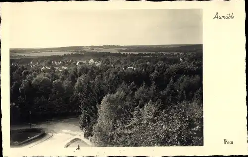 Ak Aumühle im Herzogtum Lauenburg, Panorama