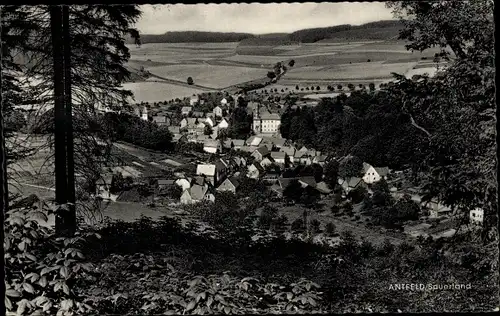 Ak Antfeld Olsberg im Sauerland, Ortsansicht