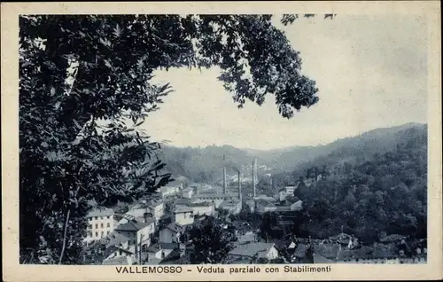 Ak Valle Mosso Piemonte, Veduta parziale con Stablimenti