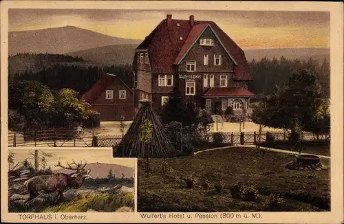Ak Torfhaus Clausthal Zellerfeld im Oberharz, Wulferts Hotel, Hirsch