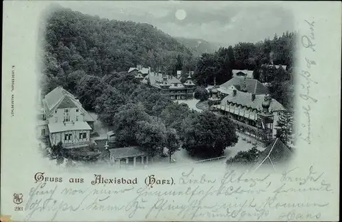 Mondschein Ak Alexisbad Harzgerode am Harz, Teilansicht