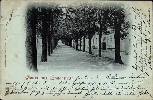 Ak Ballenstedt im Harz, Allee