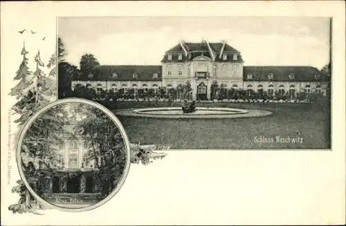Ak Neschwitz in der Oberlausitz, Schloss vom Park gesehen, Altes Palais