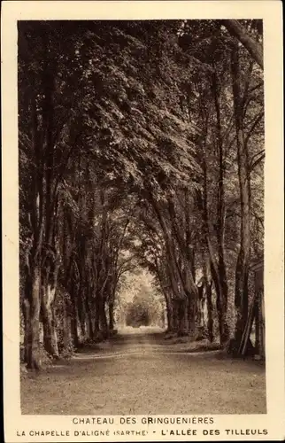 Ak Aligne Sarthe, Chateau des Gringuenieres, Die Kapelle, Allee des Tilleuls