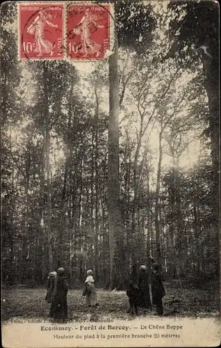 Ak Écommoy Sarthe, Foret de Bercey, Le Chene Boppe