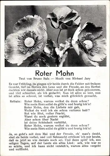 Lied Ak Roter Mohn, Es war Frühling, da gingen wir beide durch die Felder...