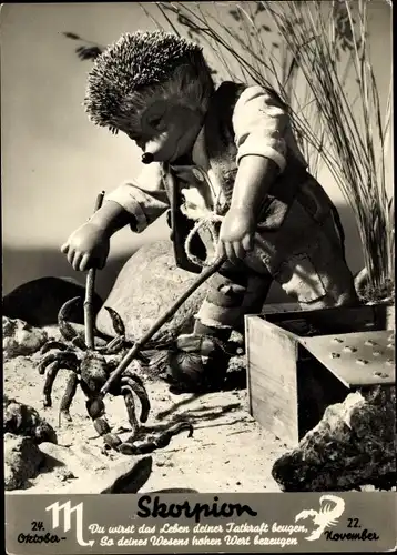 Ak Mecki der Igel, Sternzeichen Skorpion, Scorpio, 24. Oktober bis 22. November
