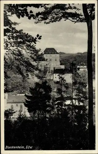 Ak Blankenheim an der Ahr Eifel, Teilansicht