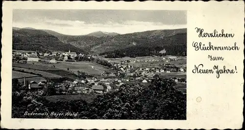 Ak Bodenmais in Niederbayern, Ortsansicht, Fröhliches Neujahr