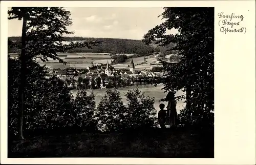 Ak Berching in der Fränkischen Alb Oberpfalz, Panorama