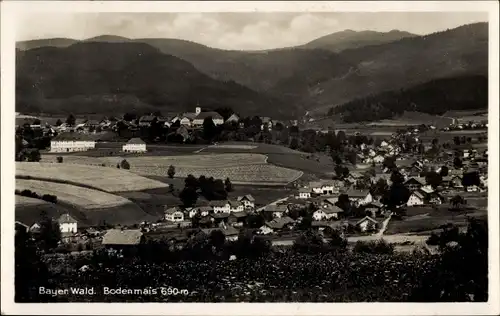 Ak Bodenmais in Niederbayern, Ortsansicht