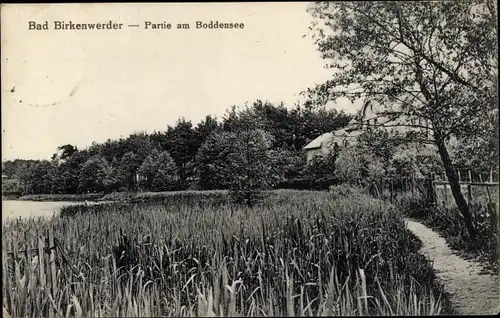 Ak Birkenwerder im Kreis Oberhavel, am Boddensee