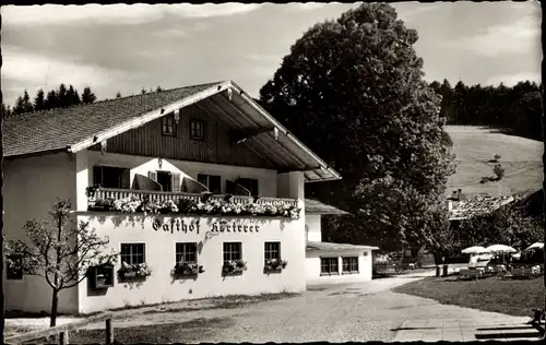 Ak Hammer Siegsdorf in Oberbayern, Gasthof-Pension Hörterer