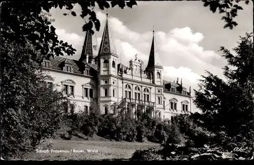 Ak Frauenau in Niederbayern, Schloss Frauenau