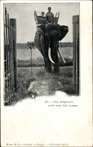Ak Laos, Un éléphant avec son bat, Arbeitselefant