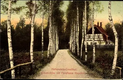 Ak Hohenstein Ernstthal in Sachsen, Birkenallee, Forsthaus Haynholz