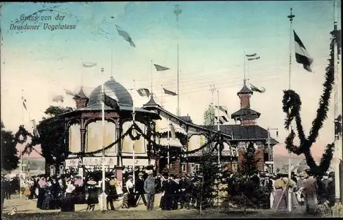 Ak Dresden, Gruß von der Vogelwiese, Fahnen, Pavillon