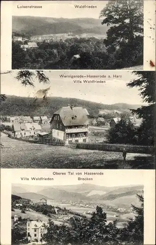 Ak Hasserode Wernigerode am Harz, Luisenstraße, Villa Waldfrieden, Brocken