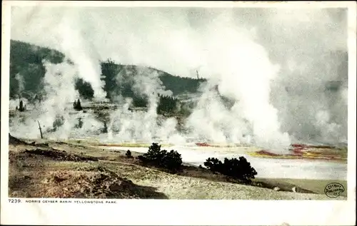 Ak Wyoming USA, Yellowstone-Nationalpark, Norris Geyser Basin