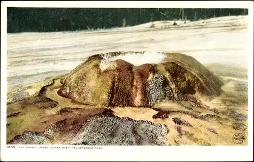 Ak Wyoming USA, Yellowstone-Nationalpark, Upper Geyser Basin, Schwamm