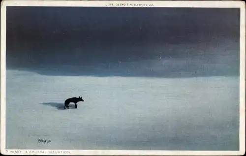 Ak USA, eine kritische Situation