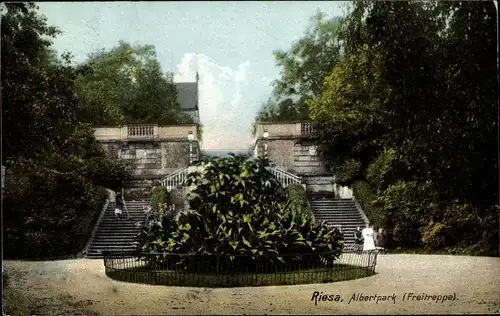 Ak Riesa an der Elbe Sachsen, Freitreppe im Albertpark