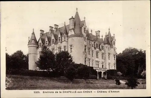 Ak Chapelle-aux-Choux Sarthe, Chateau d'Amnon