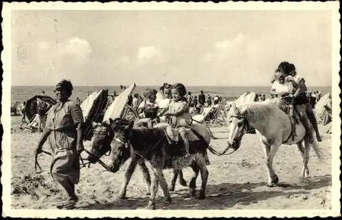 Ak La Panne De Panne Westflandern, Der Eselritt