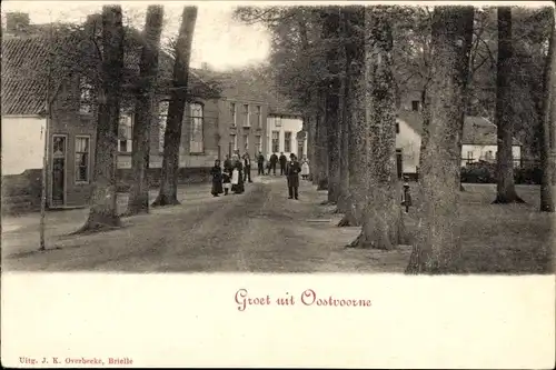 Ak Oostvoorne aan Zee Südholland, Allee