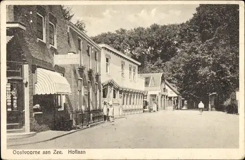 Ak Oostvoorne aan Zee Südholland, Hoflaan