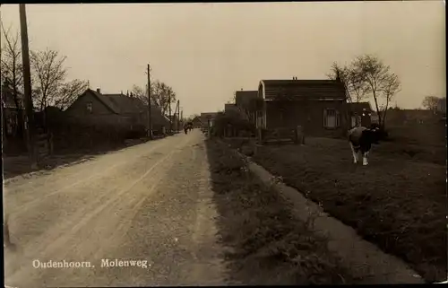 Ak Oudenhoorn Südholland, Molenweg