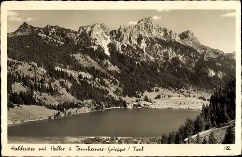 Ak Haldensee Grän in Tirol, mit Haller und Tannheimer-Gruppe