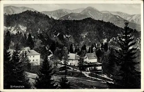 Ak Birkenstein Fischbachau in Oberbayern, Ortsansicht