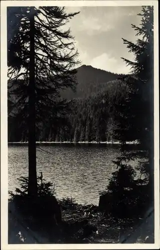 Ak Bayerisch Eisenstein in Niederbayern, Großer Arber, Arbersee