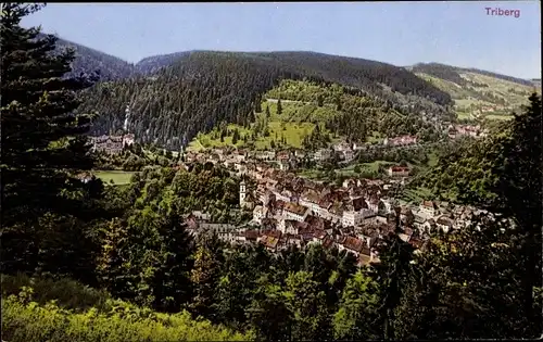 Ak Triberg im Schwarzwald, Panorama