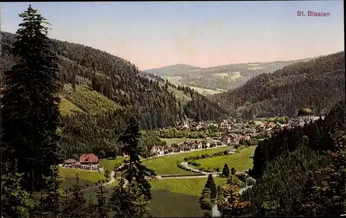 Ak Sankt Blasien im Schwarzwald, Panorama