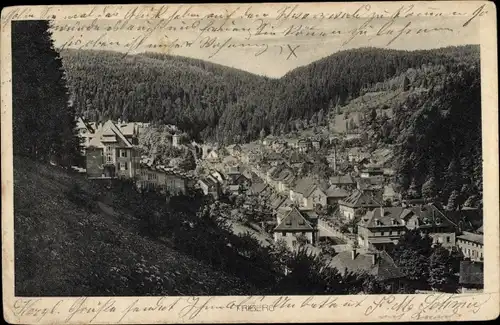 Ak Triberg im Schwarzwald, Panorama