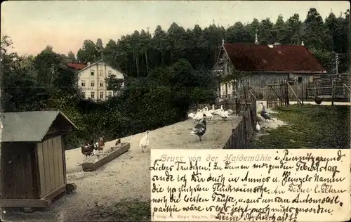 Ak Dresden Loschwitz, Dresdner Heide, Haidemühle im Prießnitzgrund