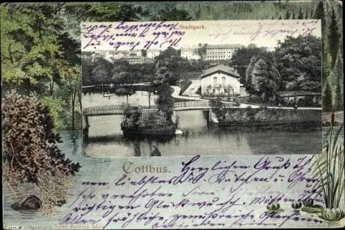 Passepartout Ak Cottbus in der Niederlausitz, Stadtpark