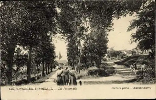 Ak Coulonges en Tardenois Aisne, Les Promenades