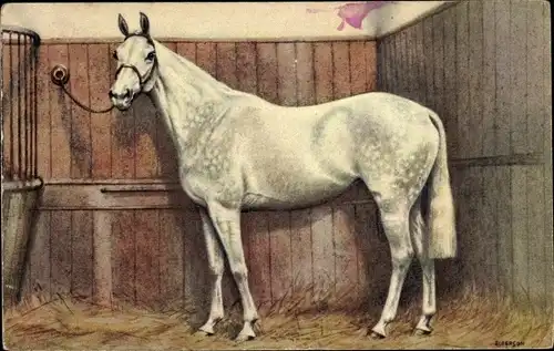 Künstler Ak Alderson, Weißes Pferd im Stall