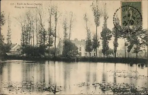 Ak Foret de Berce Sarthe, Etang de Grammont