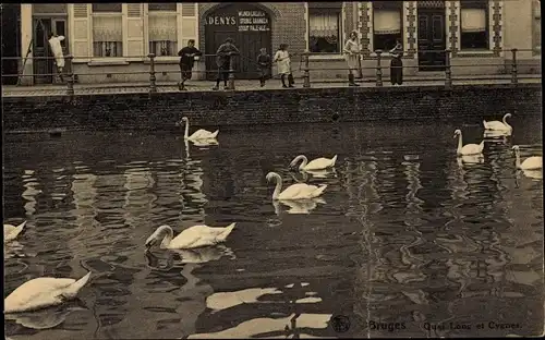 Ak Brügge Brügge Flandern Westflandern, Quai Long und Swans