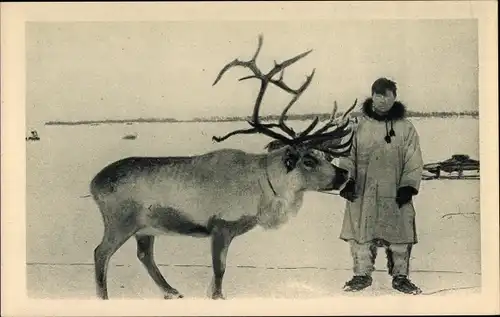 Ak Alaska, Ein Rentier und sein Meister, Polarkreis