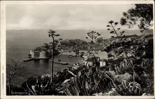 Ak Dubrovnik Kroatien, Panorama