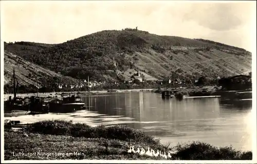 Ak Klingenberg am Main Unterfranken, Gesamtansicht